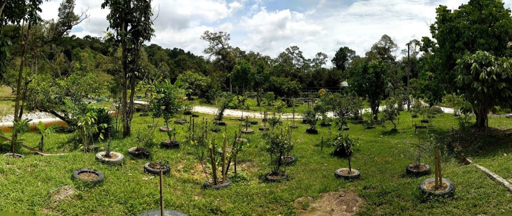 PANO_20210423_125542-min kebun reyhan - hulu langat